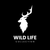 Worn &amp; Wild - Home